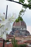 Signorelli Halldis Apartment Florence